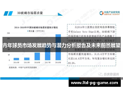 青年球员市场发展趋势与潜力分析报告及未来前景展望 青年球员市场发展趋势与潜力分析报告及未来前景展望