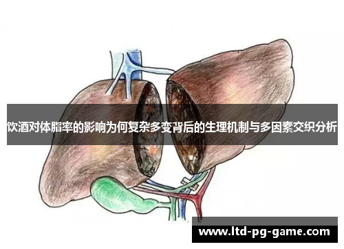饮酒对体脂率的影响为何复杂多变背后的生理机制与多因素交织分析 饮酒对体脂率的影响为何复杂多变背后的生理机制与多因素交织分析